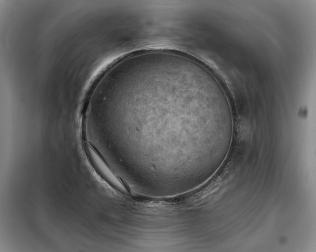 X0000098191416200805011113