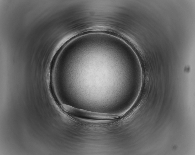 X0000098191418200805011113