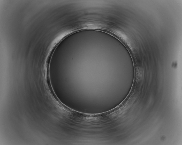 X0000098191419200805011113