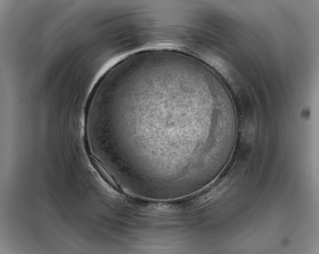 X0000098191420200805011113