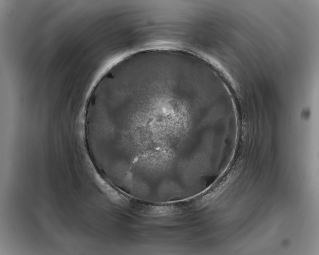 X0000098191421200805011113