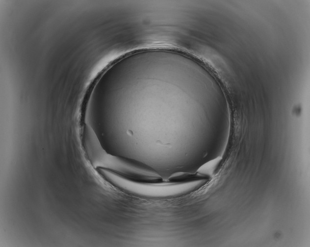 X0000098191422200805011113