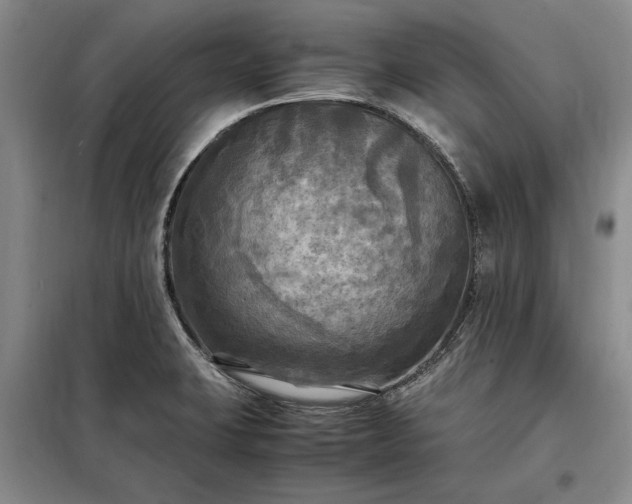 X0000098191423200805011113