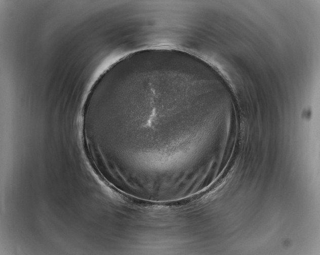X0000098191424200805011113
