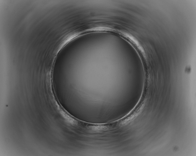 X0000098191425200805011113