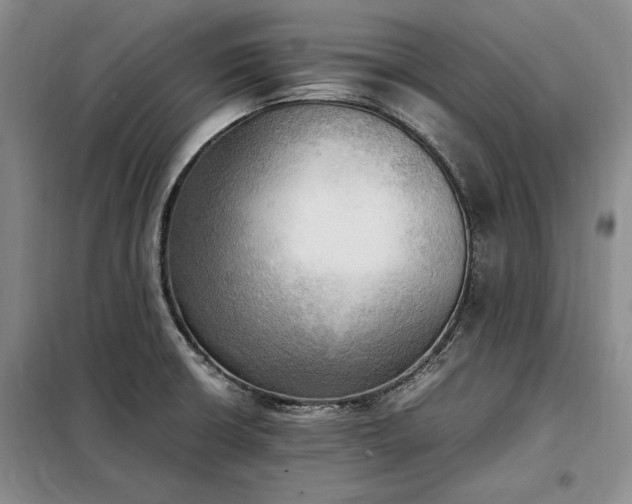 X0000098191426200805011113