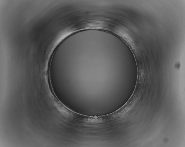 X0000098191427200805011113