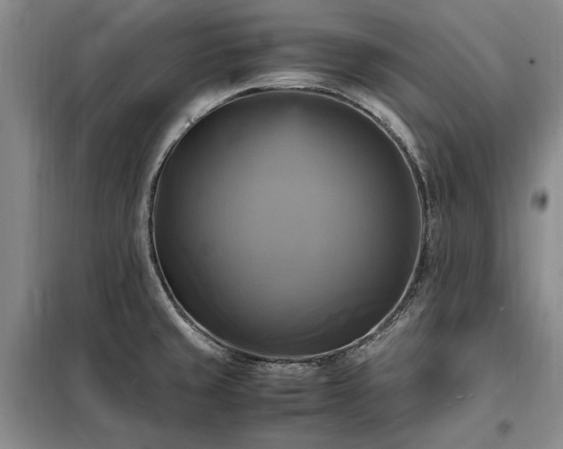X0000098191429200805011113