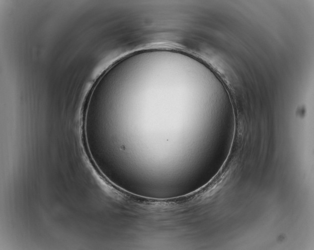 X0000098191430200805011113