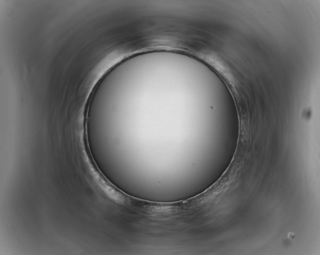 X0000098191431200805011113