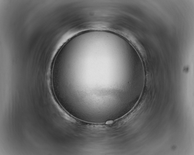 X0000098191432200805011113