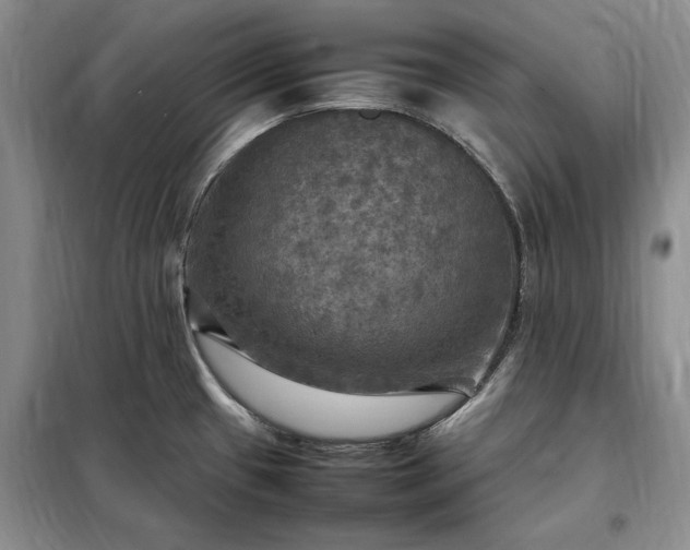 X0000098191433200805011113