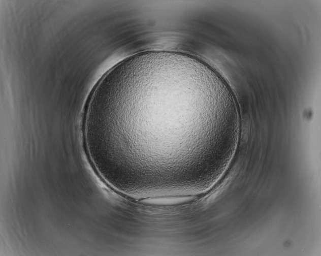 X0000098191434200805011113