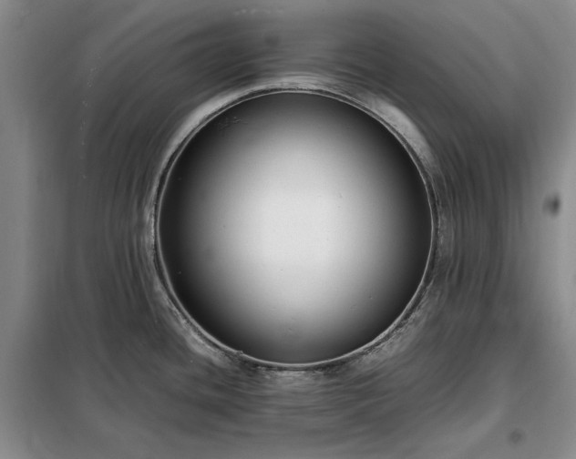 X0000098191436200805011114