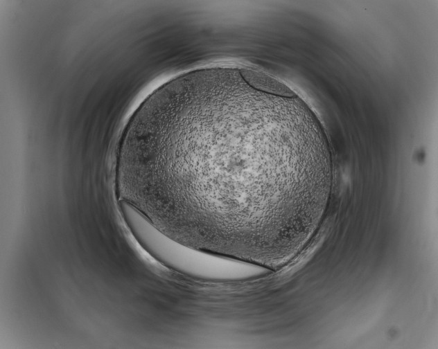 X0000098191438200805011114