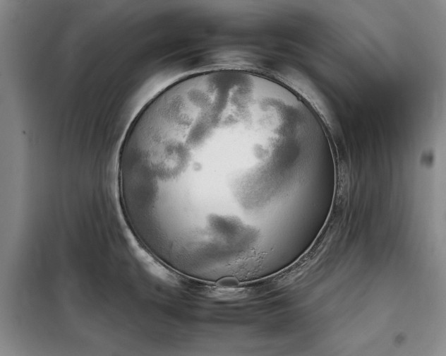 X0000098191439200805011114