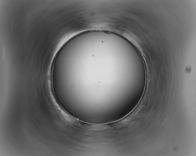 X0000098191440200805011114