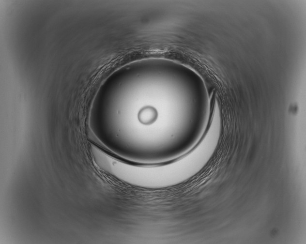 X0000098191441200805011113
