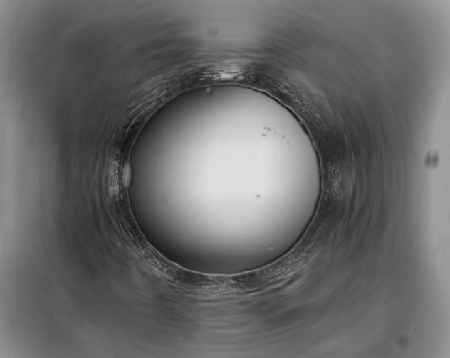 X0000098191442200805011113