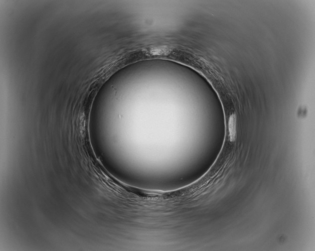 X0000098191443200805011113