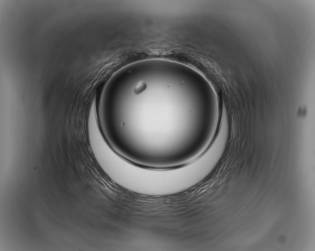 X0000098191444200805011113