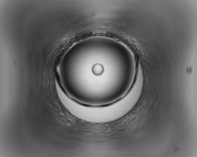 X0000098191445200805011113