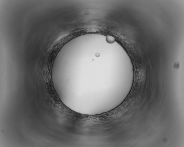 X0000098191446200805011113