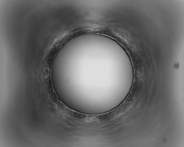 X0000098191447200805011113