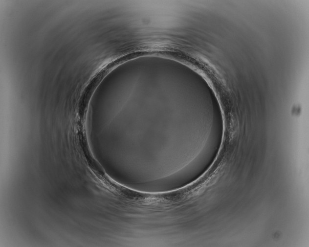 X0000098191449200805011113