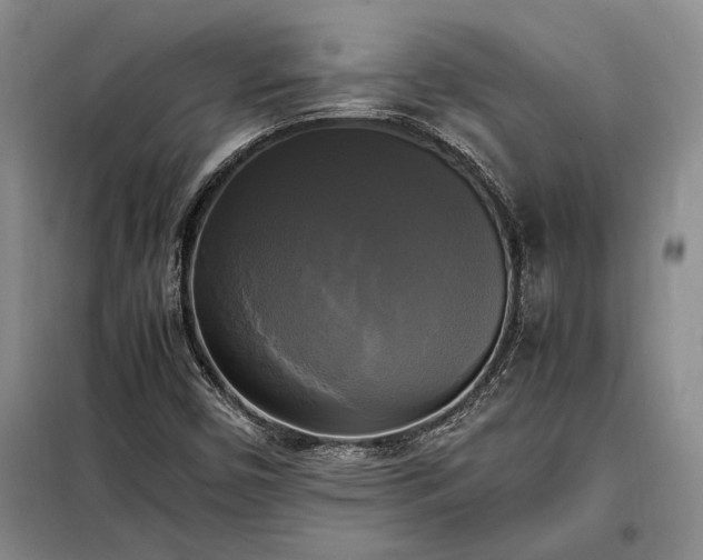 X0000098191450200805011113