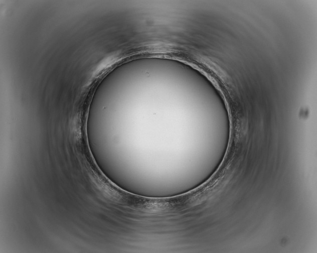 X0000098191451200805011113