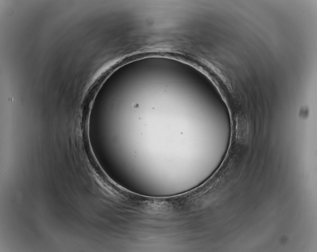 X0000098191452200805011113