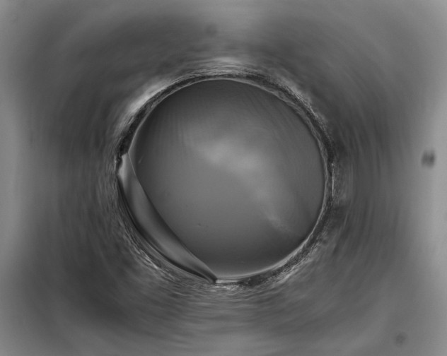 X0000098191453200805011113