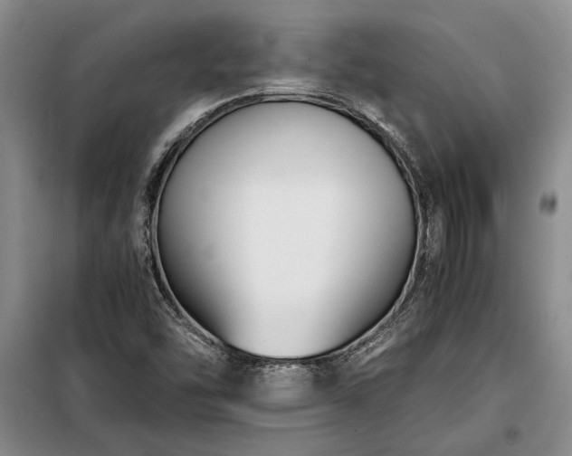 X0000098191454200805011113
