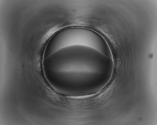 X0000098191455200805011113