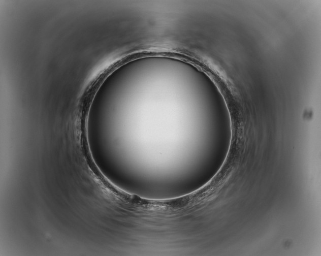 X0000098191456200805011113