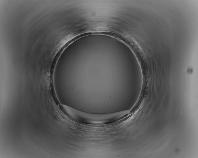 X0000098191457200805011113