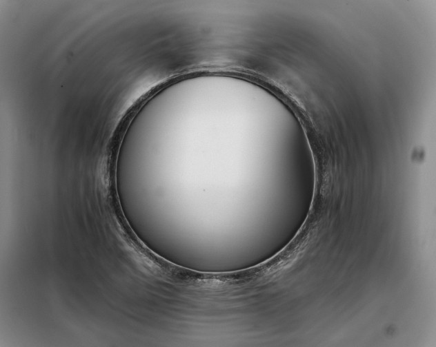 X0000098191458200805011112