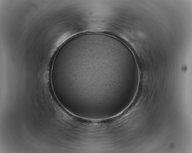 X0000098191459200805011112
