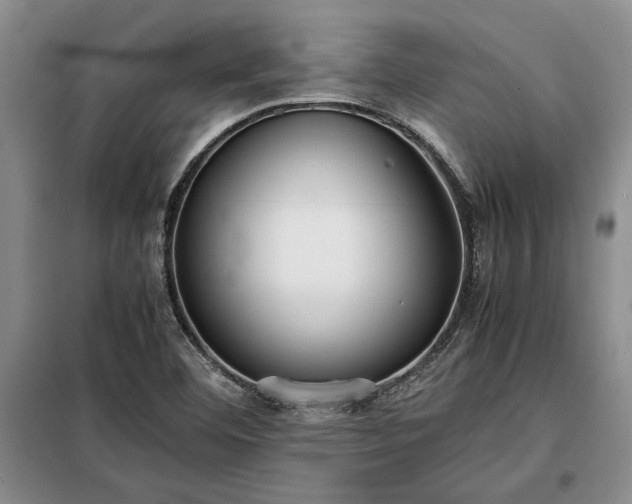 X0000098191460200805011112
