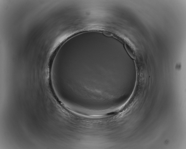 X0000098191461200805011112