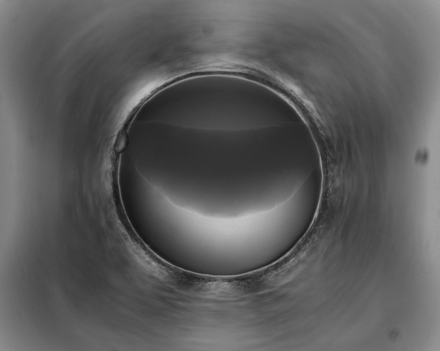 X0000098191463200805011112