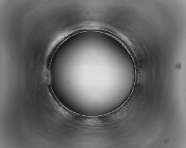 X0000098191464200805011112