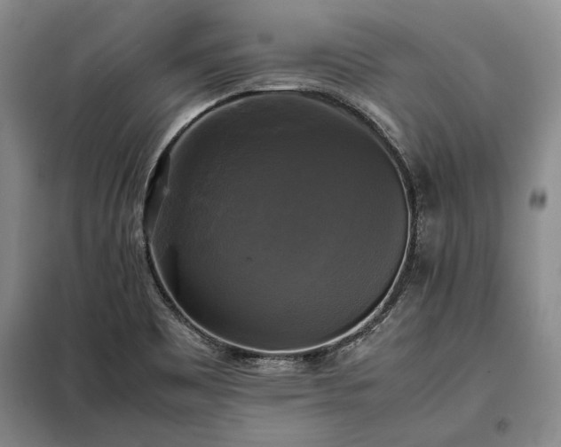 X0000098191465200805011112