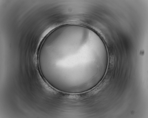 X0000098191466200805011112