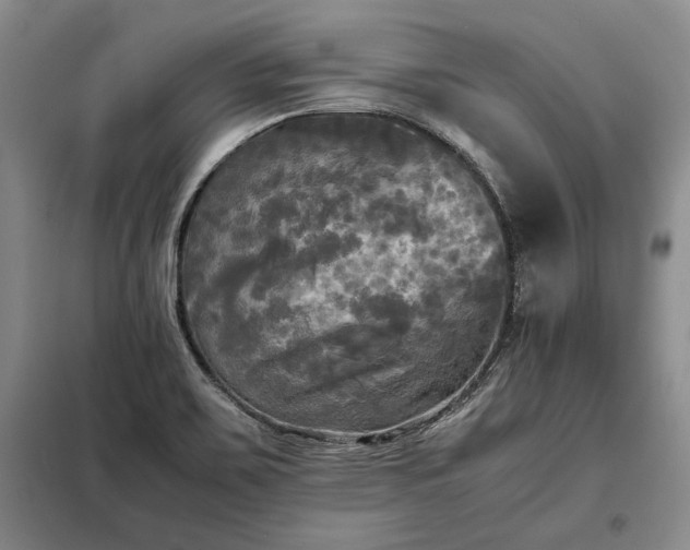 X0000098191467200805011112