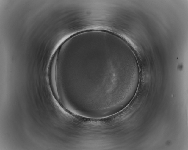 X0000098191468200805011112