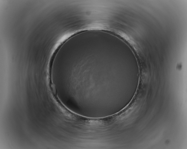 X0000098191469200805011112