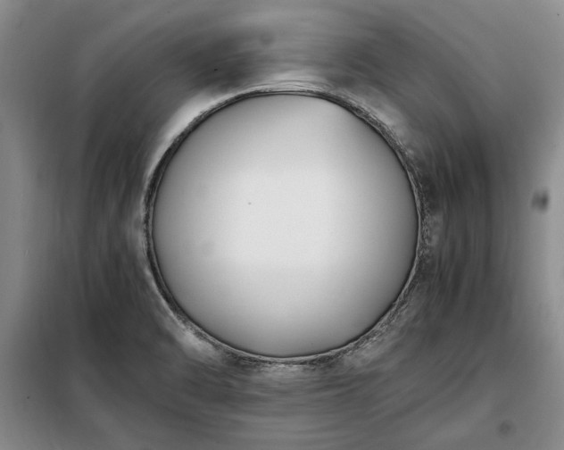 X0000098191470200805011112