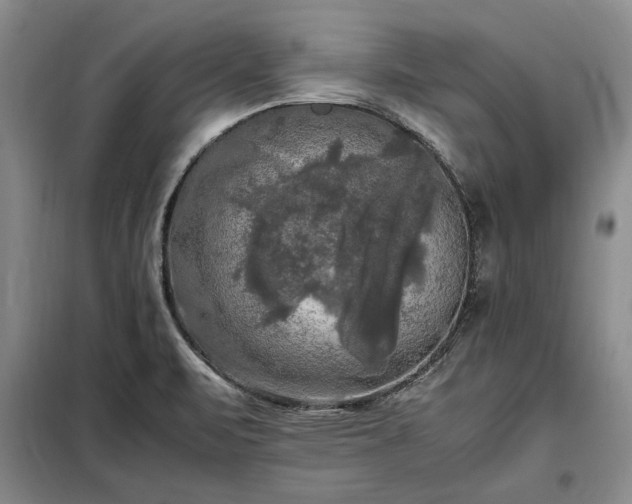 X0000098191471200805011112